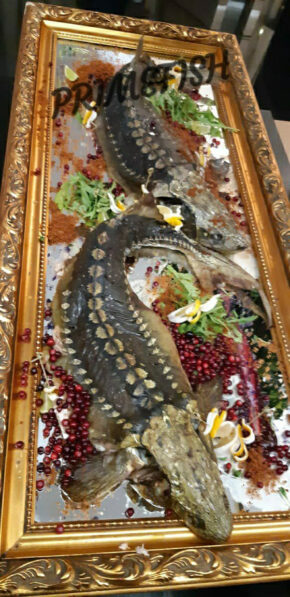 Праймфиш