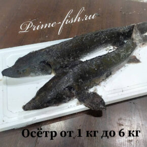Праймфиш