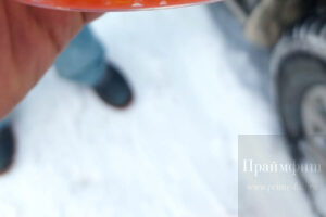Праймфиш НовосибирскИкра горбуши, кеты, кижуча, чавычи Икра горбуши, кеты, кижуча, чавычи